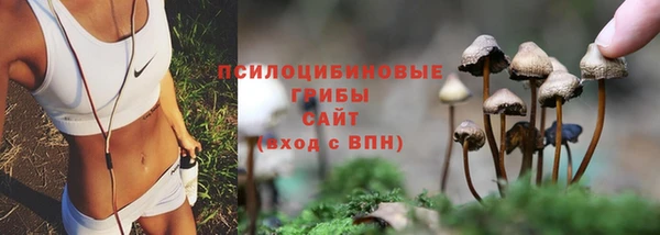 прущий лед Волоколамск