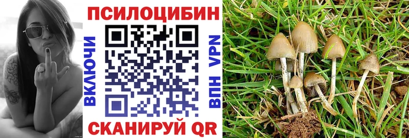 Галлюциногенные грибы Magic Shrooms  Вытегра 